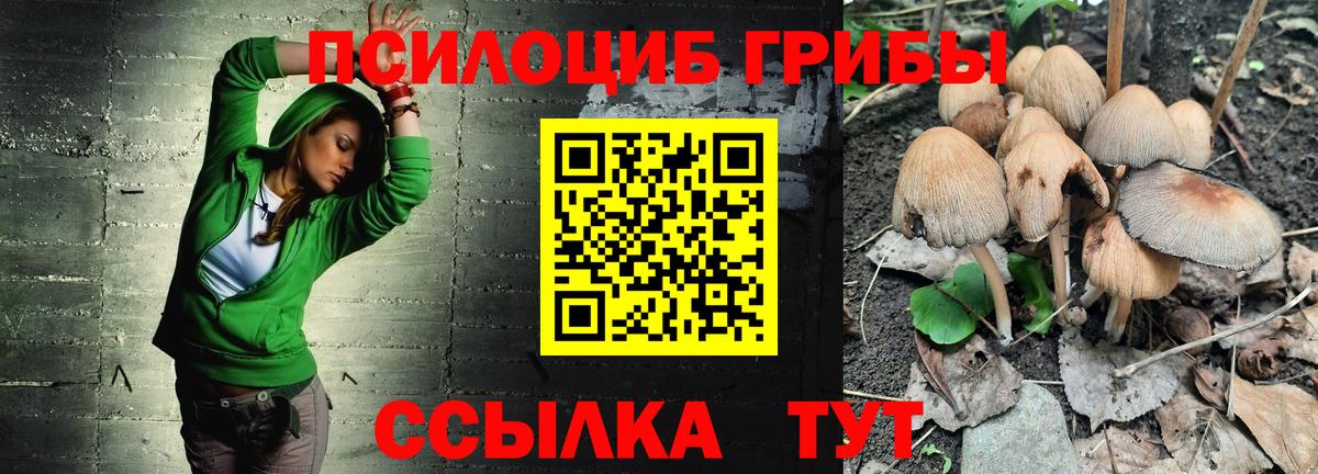 Ногинск  купить   Вход с VPN  Псилоцибиновые грибы ЛСД 