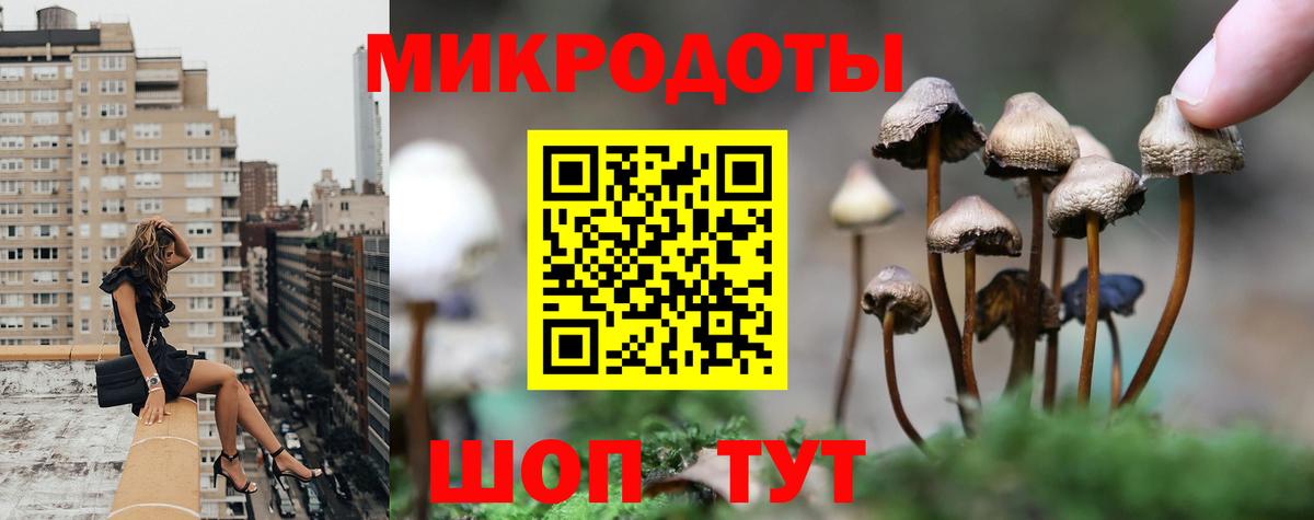 Псилоцибиновые грибы Magic Shrooms Ногинск